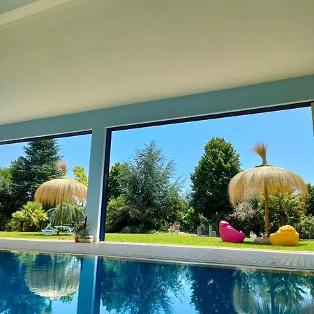 Quinta Do Bamby Gospodarstwo agroturystyczne *