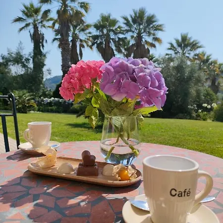 农家乐 Quinta Do Bamby 莱里亚