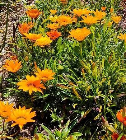 农家乐 Quinta Do Bamby 莱里亚