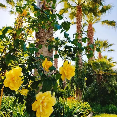 Quinta Do Bamby Gospodarstwo agroturystyczne Leiria