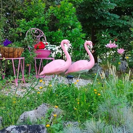 Quinta Do Bamby Gospodarstwo agroturystyczne Leiria