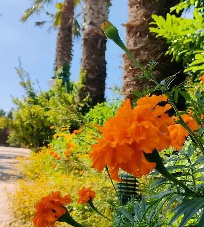 Quinta Do Bamby 农家乐 *