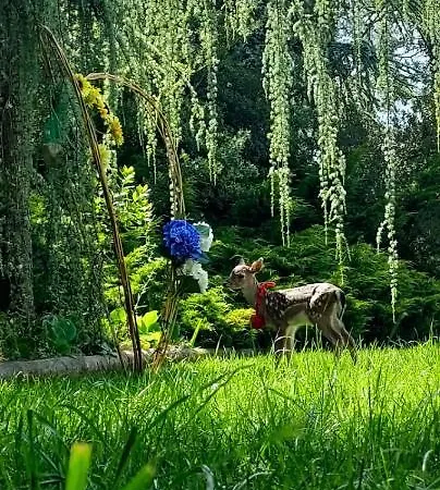 Quinta Do Bamby 莱里亚