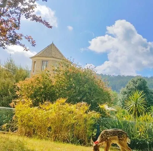 Quinta Do Bamby Feriegård *